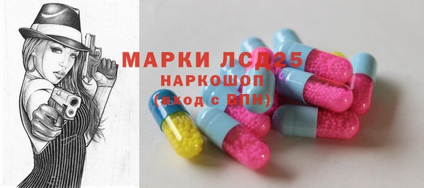 гидра Богородицк