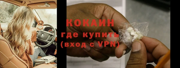 гидра Богородицк