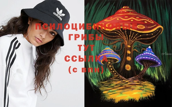 гашиш Богородск