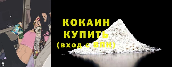 гидра Богородицк