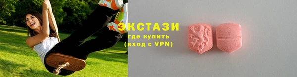 гидра Богородицк