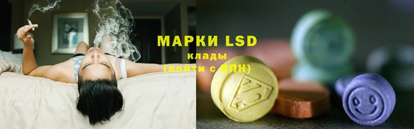 экстази Богданович