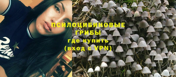 гашиш Богородск