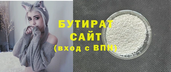 гидра Богородицк