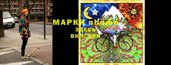 гидра Богородицк