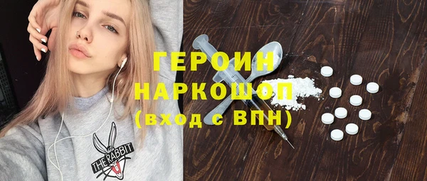 гидра Богородицк