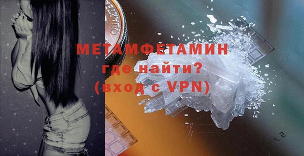 гидра Богородицк