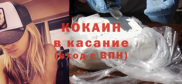 гидра Богородицк