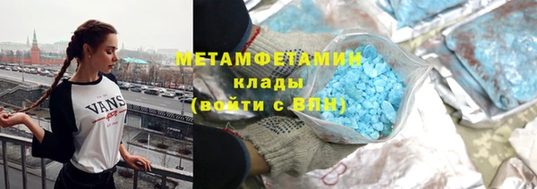 гидра Богородицк
