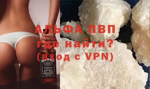гидра Богородицк